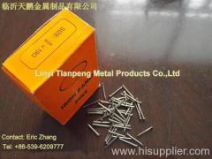 Iron Nail/Panel Pin Nails