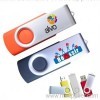 Promotion USB Drive with LOGO Printing