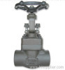 API 602 Forged Steel Gate Valve