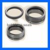 O ring mechanical seals