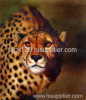 classical animal oil painting