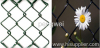 PVC Coated Chain Link Fence