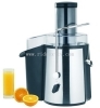 Fruit Power Juicer