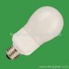 PAR Globe Energy Saving Bulb