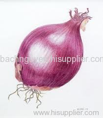 Red onion