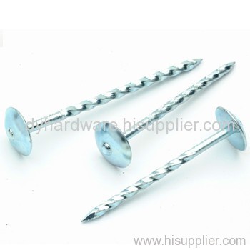 umbrella roofing nails