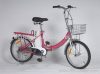 Electric Bicycle