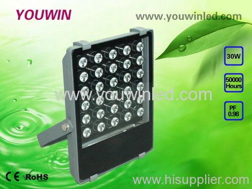 30W LED Project Light