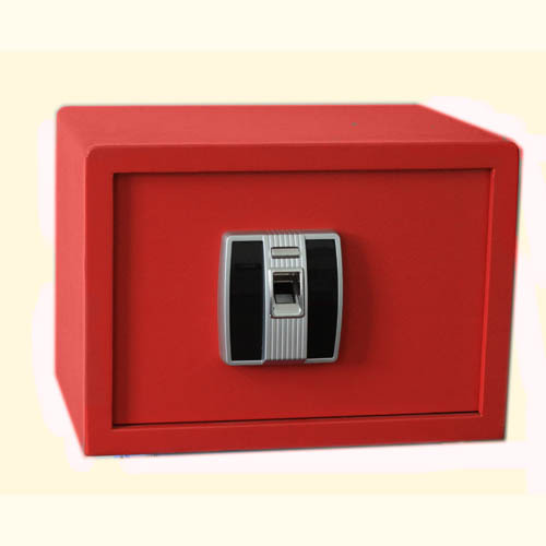 Biometric Safe