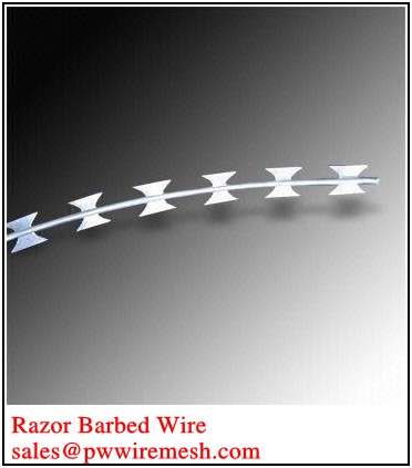 razor barbed wire