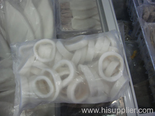 Frozen Squid Products