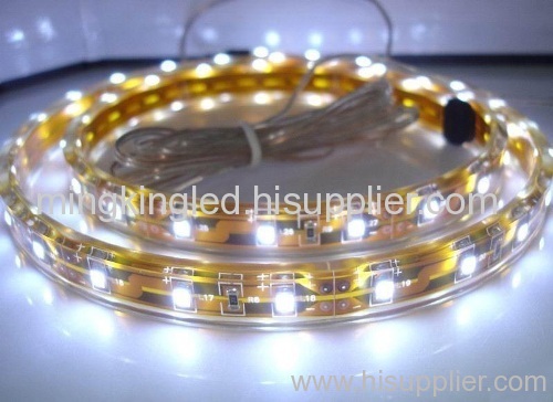 Ip68 LED strip