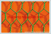 Hexagonal Wire Netting