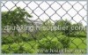 grass chain link fence
