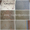 PVC Vinyl wallpaper Caesar wallpaper