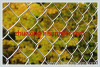 Chain link Fence