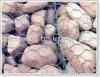 gabion box