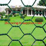 Hexagonal wire Netting