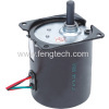 24v Reversible AC Synchronous Motor