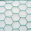 hexagonal wire mesh