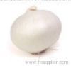 Fresh Onion