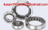 cylindrical roller bearing