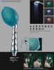 LED shower head