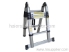 telescopic ladder