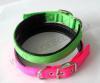 Comfort Padded Dog Collar with Metal Buckle Type