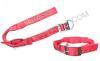 Dog Training Collar