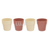 Biodegradable Candle Cup