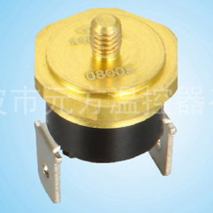 auto car thermostat