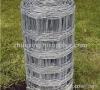 Hot Dipped galvanized Field Fence