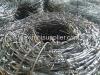 Galvanized Barbed Wire