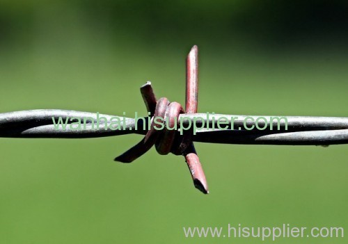 Barbed Wire safeguard Fence