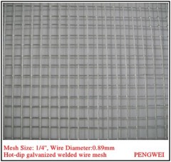 Welded Wire Mesh