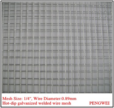 Welded Wire Mesh