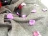 bamboo fiber fabric /cashmere wool fabric /fancy suiting fabric