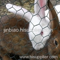 Rabbit Fencing