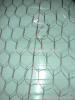 Hex Netting Chicken Wire Mesh&Fence