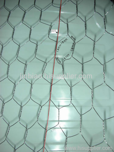 Hex Netting Chicken Wire Mesh&Fence