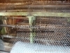 Stainless Steel Hex Wire Mesh