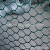 Hexagonal Poultry Netting Wire