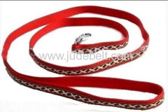 Nylon Dog Leash with Woven Ribbon Logo