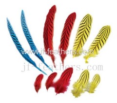 Fancy Feathers