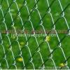 chain link fence