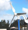 wind turbine