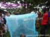 long lasting insecticide treated mosquito nets