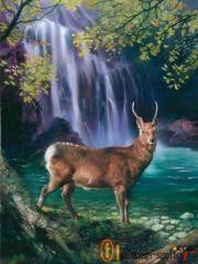 Animal Oil Paintings