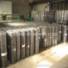 Welded Wire Mesh